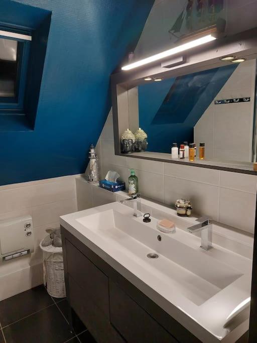 Bel Appartement 50 M2 Aux Portes De Strasbourg De 1 A 5 Personnes Chez Particuliers Avec 2 Sdb Coin Cuisine-Repas Et Kitchinette Prix Negociable Pour 1 Personne Vendenheim Esterno foto